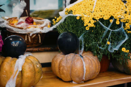 Halloween street decor. Pumpkins with black balloons and cobweb on autumn flowers,modern festive...