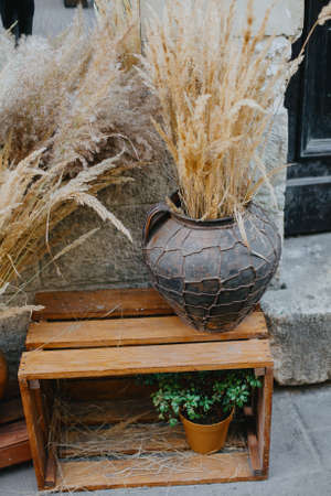 Dried herbs and grass in rustic modern vases on wooden boxes, festive autumn decor in city street. Modern Halloween street decor. Happy Thanksgiving.の写真素材