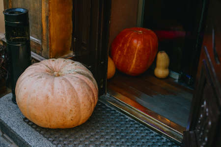 Halloween or Thanksgiving street decor. Pumpkins at store window, modern festive decoration. Happy...