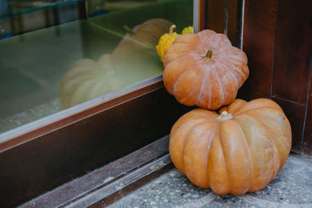 Halloween or Thanksgiving street decor. Pumpkins at store window, modern festive decoration. Happy Halloween. Autumn harvestの写真素材