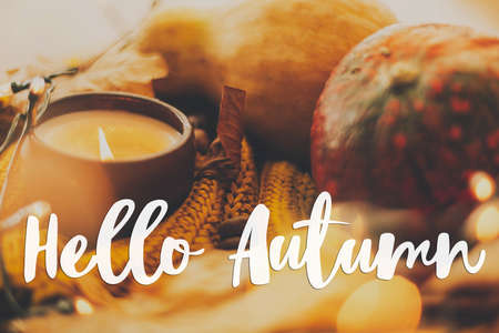 Hello autumn, hand written  text on background of pumpkin, autumn leaves, candle, warm lights on yellow knitted sweater. Cozy fall, selective focusの写真素材