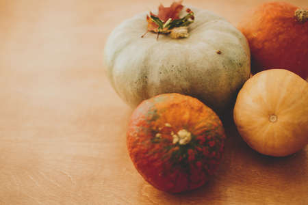 Pumpkins, autumn leaves on rustic wooden background with space for text. Happy Thanksgiving and Halloween decor, celebrating autumn holidays at homeの写真素材