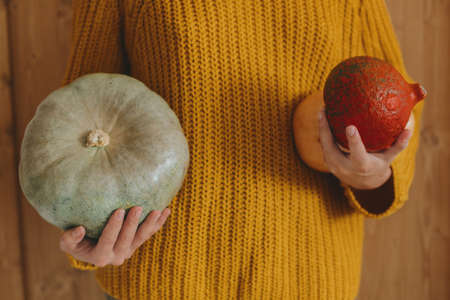 Female in yellow knitted sweater holding pumpkins on rustic wooden background. Hello Autumn and Happy Thanksgiving, celebrating autumn holidays at cozy home. Fall Harvestの写真素材