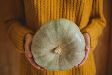 Female in yellow knitted sweater holding green pumpkin on rustic wooden background. Hello Autumn and...