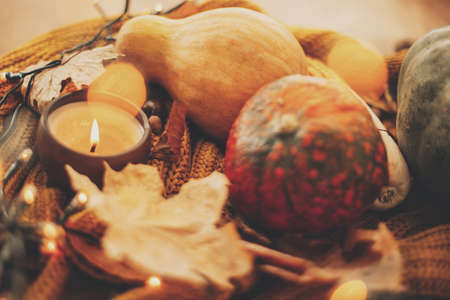 Happy Thanksgiving and Halloween, celebrating autumn holidays at cozy home. Pumpkins, autumn leaves, spices and candle on cozy knitted sweater in warm yellow lights.の写真素材