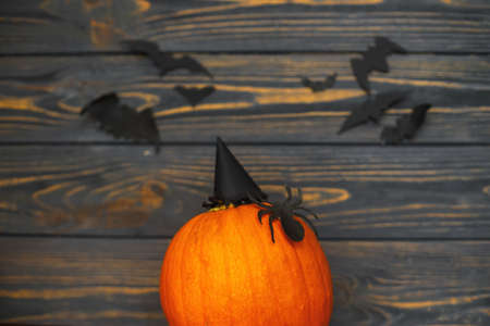 Happy Halloween! Pumpkin with spider and witch hat on dark background with bats. Handmade holiday decorations, celebrating halloween at homeの写真素材