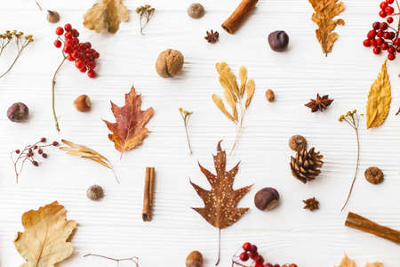 Autumn leaves, berries, acorns, walnuts, cinnamon and anise on white background. Autumnal pattern with natural forest details, flat lay. Hello Fallの写真素材