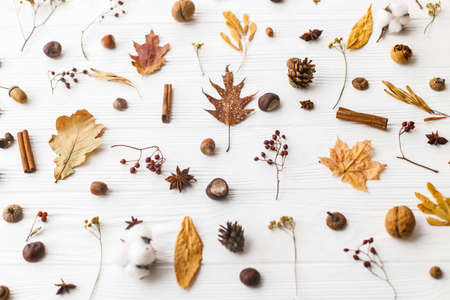 Autumnal pattern with natural forest details. Autumn leaves, berries, acorns, walnuts, cinnamon,anise , cotton and pine cones on white background.の写真素材