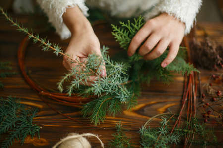 Making rustic christmas wreath, holiday advent. Hands holding green cedar branches on rustic wooden background. Seasonal holiday workshop or making festive decorations at homeの写真素材