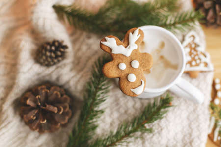 Christmas  gingerbread reindeer cookie on aromatic coffee on background of cozy knitted sweater, pine cones, fir branches and warm lights. Cozy winter. Merry Christmas and Happy Holidays!の写真素材