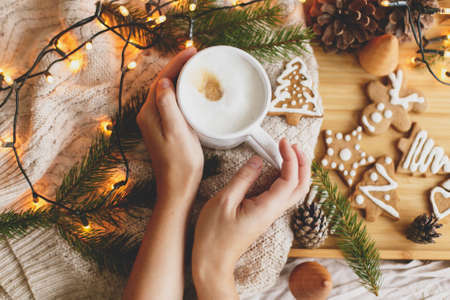 Hands holding warm coffee on background of christmas gingerbread cookies, cozy knitted sweater, fir branches with pine cones and lights. Hello winter, atmospheric image. Happy Holidays!の写真素材