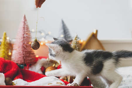 Adorable kitten playing with christmas bauble  in box with santa hat on background of christmas tree and ornaments in warm illumination lights. Cozy winter holidays, Merry Christmas!