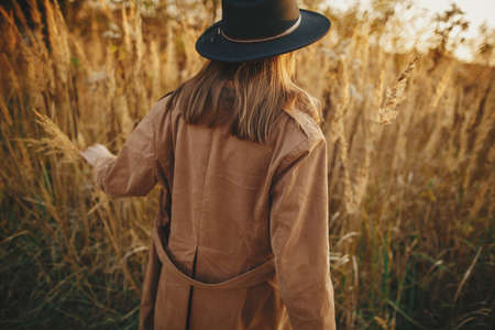 Stylish boho woman walking among grass in autumn field in warm sunset. Young fashionable female in...
