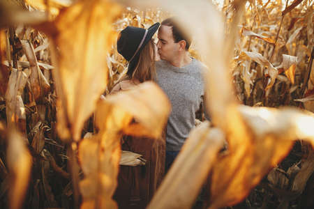 Happy stylish couple embracing in autumn corn field in warm sunset light. Romantic sensual moment. Fashionable young man and woman  hugging and kissingの写真素材