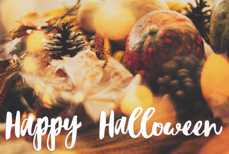 Happy Halloween text on pumpkin, autumn leaves, spices and pine cone on cozy knitted sweater in warm...