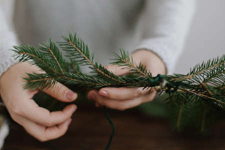 Close up of female hands holding green fir branches and making rustic christmas wreath on background...