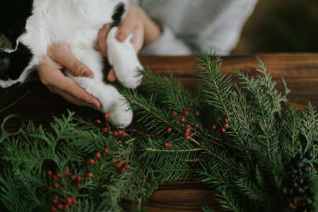Cute cat helping young woman making rustic christmas wreath, holding red berries and green branches with little paws. Sweet authentic home moments, pet and holidaysの写真素材