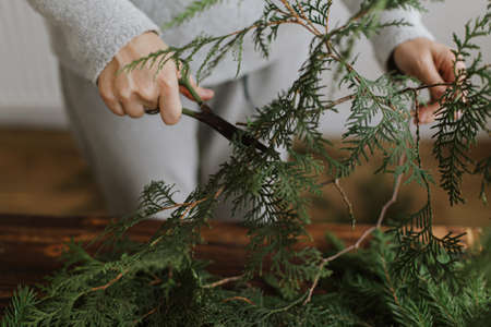 Female hands holding scissors and green cedar branches, making christmas wreath on background of wooden table. Handmade festive decor. Making rustic christmas wreath, seasonal winter adventの写真素材