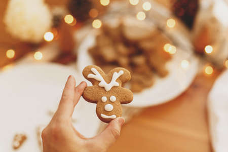 Hand holding gingerbread reindeer cookie with icing on background of wooden table with festive lights and christmas cookies on plate with sugar frosting. Atmospheric family time. Merry Christmasの写真素材