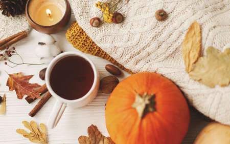 Autumn flat lay. Warm tea, pumpkins and spices on background of cozy knitted sweaters, autumn leaves...