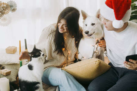 Happy young family sitting with cute dog and cat in festive decorated boho room, sweet moments. Merry Christmas! Stylish couple with pets in lights and santa hat celebrating holidays at homeの写真素材