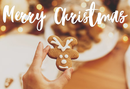 Merry Christmas text handwritten on hand holding gingerbread reindeer cookie with icing on...
