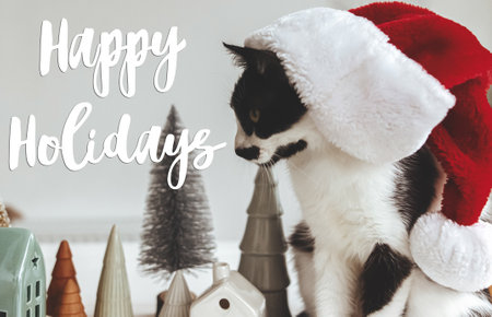 Happy holidays text handwritten on cute cat in santa hat sitting at modern christmas decorations, trees and houses, miniature village scene. Greeting card, modern seasons greetingsの写真素材