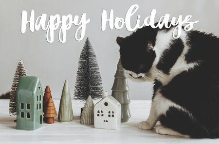 Happy holidays Greeting card. Happy holidays text handwritten on adorable cat sitting at modern...
