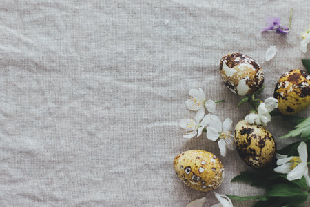 Happy Easter! Easter eggs with spring flowers on rustic linen background, flat lay with space for...