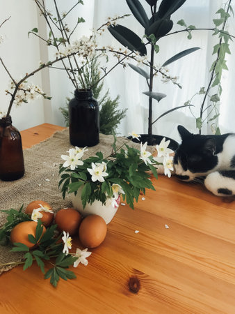 Easter eggs with spring flowers on wooden rustic table in room at home. Natural eggs, cat, cherry...
