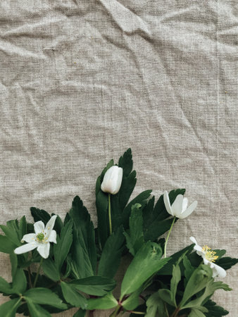 Spring flowers on rustic linen fabric, top view with space for text. Hello spring and Happy Easter! Aesthetic simple image. Anemone flowers, spring blossoms on linen clothの写真素材