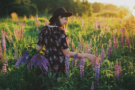 Beautiful woman gathering lupine in wicker rustic basket in sunny field. Stylish young female in vintage floral dress and hat relaxing in summer meadow in countrysideの写真素材