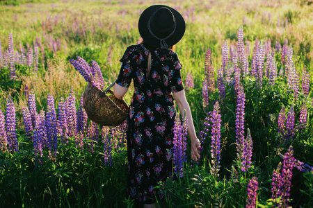 Beautiful stylish woman gathering lupine in wicker rustic basket in sunny field. Young female in vintage floral dress and hat relaxing in summer meadow in countryside, tranquil momentの写真素材