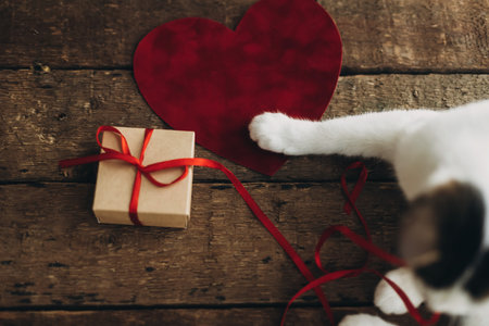 Cute cat holding red velvet heart on rustic wooden background with gift box and red ribbon. Happy Valentines day. Animals love concept. Adorable kitty playing with heart