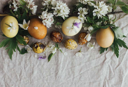 Easter rustic flat lay. Easter eggs with spring flowers on linen background with space for text. Aesthetic stylish easter eggs in natural dye and tender spring blooms and petalsの写真素材