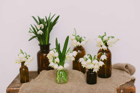 Hello spring. First flowers spring snowflake. Spring white flowers in retro glass bottles on rustic linen cloth and wood in room. Rural still life.  Gardening and botany concept.の写真素材