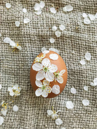 Easter egg decorated with cherry flowers and petals on rustic linen napkin. Flat lay. Creative natural eco friendly decor of eggs with spring bloom. Happy Easter minimalist greeting cardの写真素材