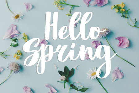Hello spring text sign on beautiful wildflowers and peony petals flat lay composition on blue...