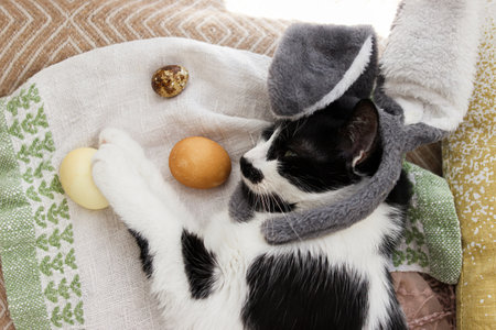 Cute cat in bunny ears lying with modern pastel easter eggs on cozy yellow blanket, top view. Pet...