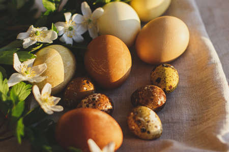 Happy Easter! Modern pastel easter eggs with spring flowers on rustic linen cloth in sunny light....