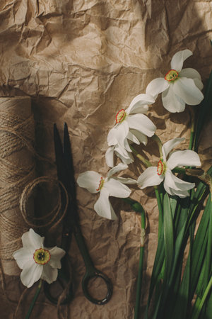 Stylish spring flowers rural still life. Beautiful white daffodils, scissors, twine in sunny light on rustic brown paper background, top view. Happy Mothers day. Happy Women's day.の写真素材