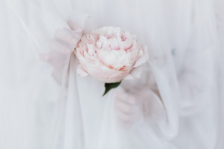 Beautiful stylish woman behind soft white fabric holding peony in hands. Young female gently holding big pink  peony flower. Sensual soft image. Spring aesthetics. Womens dayの写真素材