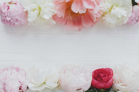 Beautiful tender peony floral border on white wood, flat lay with copy space. Happy Mothers day. Lovely pink and white peonies flowers on rustic white wood. Floral greeting cardの写真素材