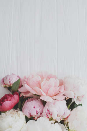 Beautiful tender peony flowers border on white wood, flat lay with copy space. Happy Mothers day. Lovely pink and white peonies bouquet on rustic white wood. Floral greeting cardの写真素材