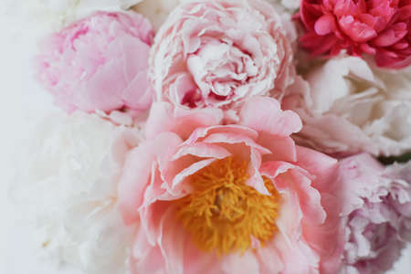 Beautiful stylish peonies bouquet close up. Pink and white peony flowers, floral greeting card and wallpaper. Happy Mothers day. Wedding bouquetの写真素材