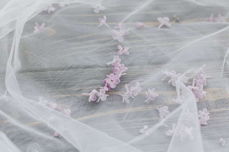 Beautiful lilac petals on soft tulle fabric on dark wooden background, top view with copy space. Tender spring aesthetic.の写真素材