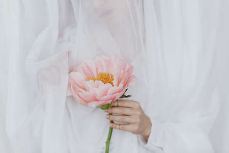 Beautiful stylish woman behind soft white fabric holding peony in hands. Young female gently holding big pink  peony flower. Sensual soft image. Spring aesthetics. Womens dayの写真素材