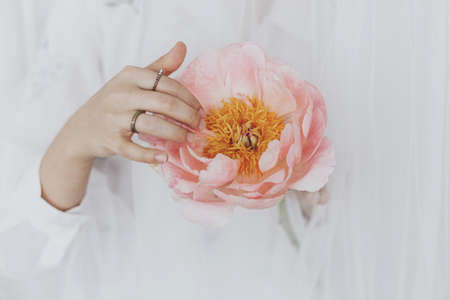 Beautiful stylish woman behind soft white tulle holding peony in hands. Young female gently holding big pink peony flower. Sensual soft image. Spring aesthetics. Womens dayの写真素材