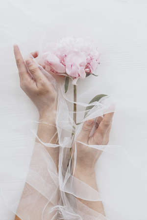 Hands holding tender peony flower under tulle fabric on white wooden background, top view with copy space. Beautiful spring aesthetics. Soft floral greeting card. Pink peonyの写真素材