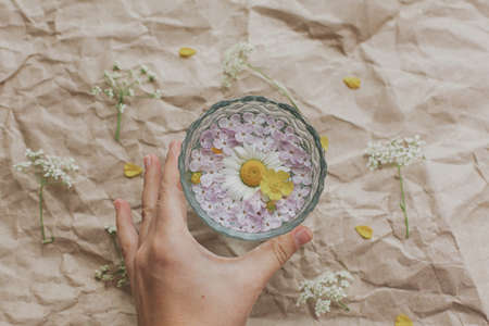 Hand holding glass cup with daisy flower and lilac petals in water on background of old brown paper with wildflowers, top view. Summer flowers Wildflowers composition on rustic backgroundの写真素材